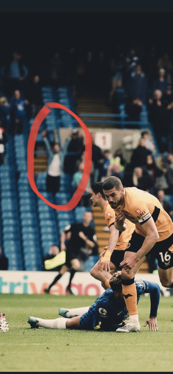 Stephen Harrington tweet media