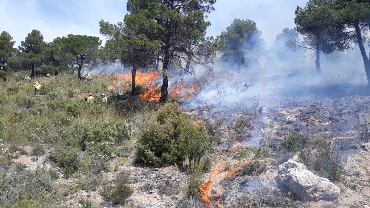 MELucasBorja's tweet photo. En otoño de 2020, se ejecutaron quemas experimentales en zona de pinaster (Ayna, AB). Después de unos meses, aquí tenemos los resultados de los trabajos de monitorización de la erosión en zonas de alta severidad, baja severidad y control (sin quemar). #ECOFOR, @uclm_es Seguimos https://t.co/gx8TwwTwyz