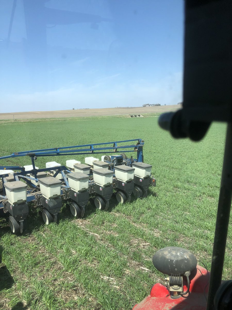 craigimoss's tweet photo. No till corn going into rye cover crop. https://t.co/oCpmfCcsj8