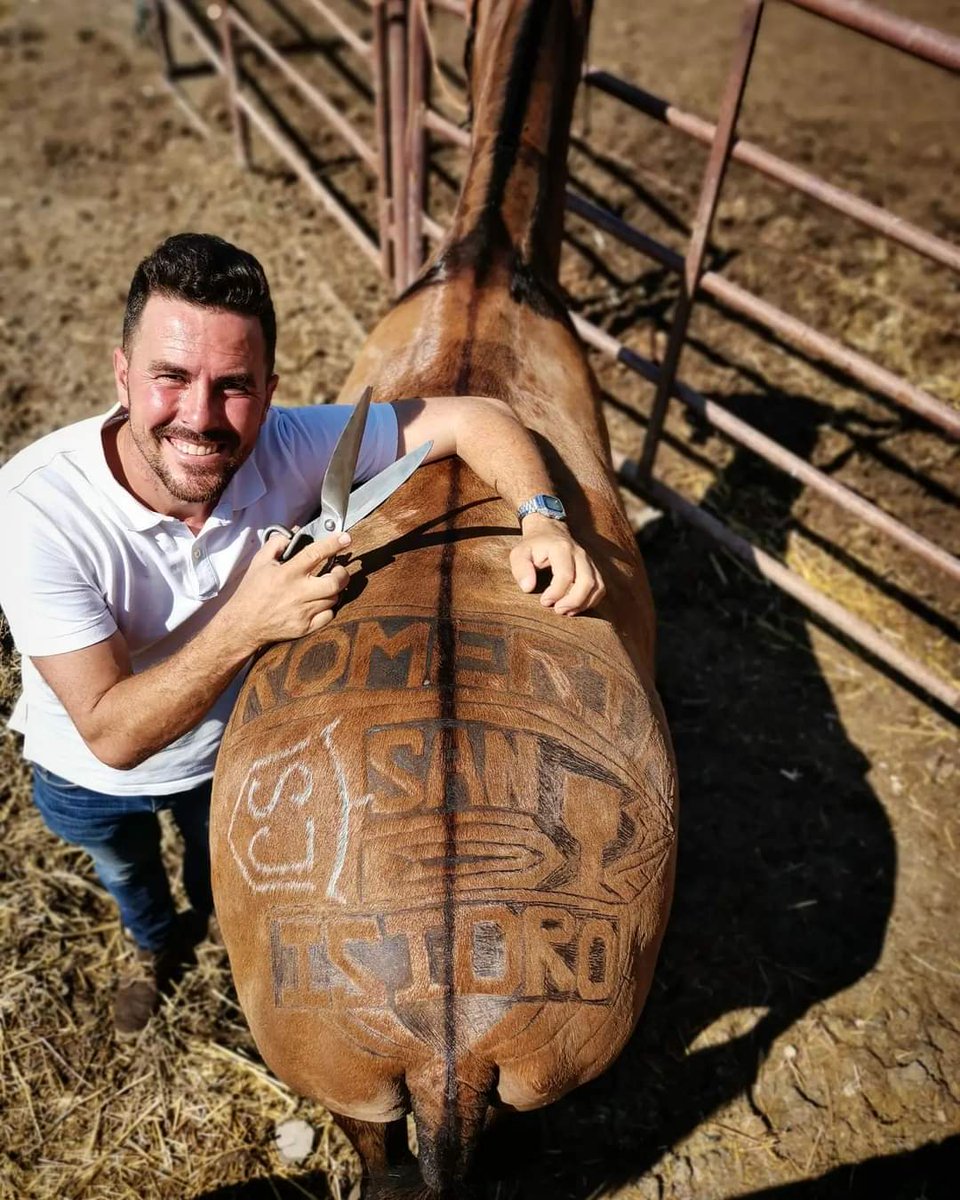 Nuestros vecinos siguen preparando para el día de mañana. A las 10:00 será la misa de Romeros y a las 10:30 saldrá la romería por el nuevo itinerario hacia el Olivar de San Isidro.