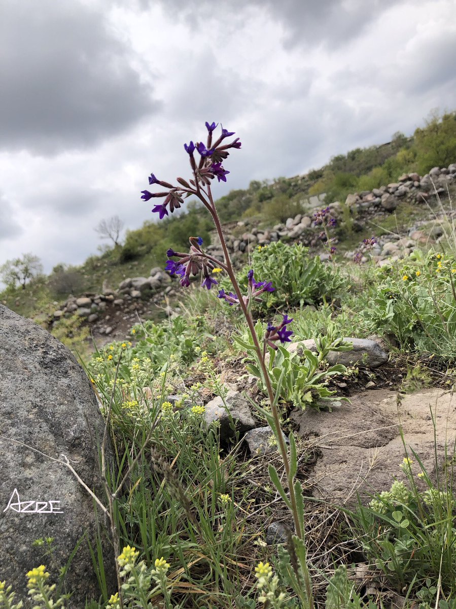 AzizeKocadag's tweet photo. #kayseri #alidag #spring quality time with family https://t.co/R9ETU2vNvQ