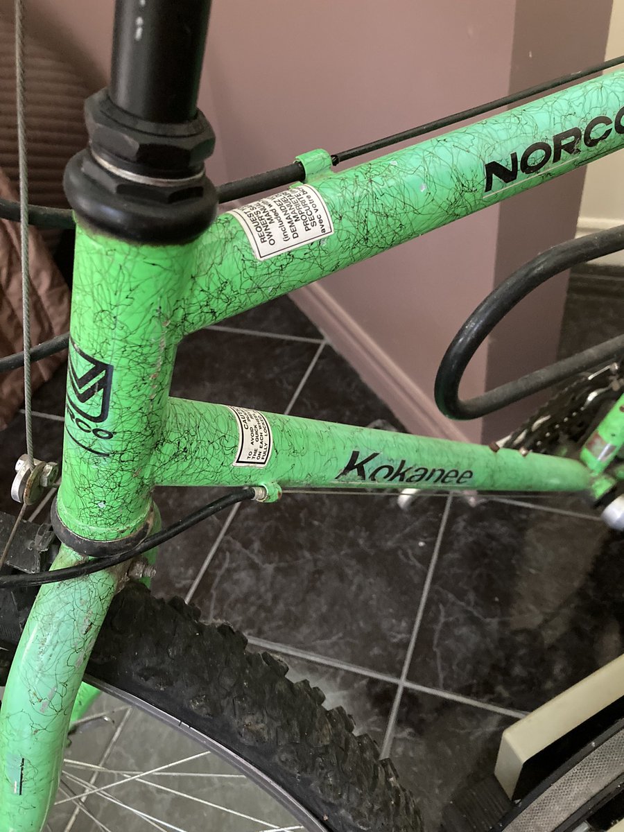 JulieDoner's tweet photo. My aunt asked me if I wanted to take this bike home with me. I stared at it, then her, in disbelief. I said, “Are those HAIRS all over it?” She goes, “Hairs? What hairs? That’s the design!” Tweeps, tell me this isn’t a pubic hair bike… #worstdesignever https://t.co/hYfRon2uBJ