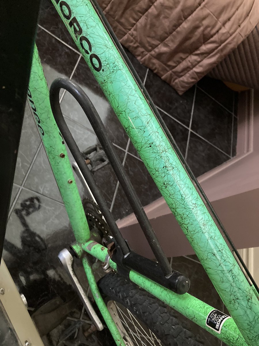 JulieDoner's tweet photo. My aunt asked me if I wanted to take this bike home with me. I stared at it, then her, in disbelief. I said, “Are those HAIRS all over it?” She goes, “Hairs? What hairs? That’s the design!” Tweeps, tell me this isn’t a pubic hair bike… #worstdesignever https://t.co/hYfRon2uBJ