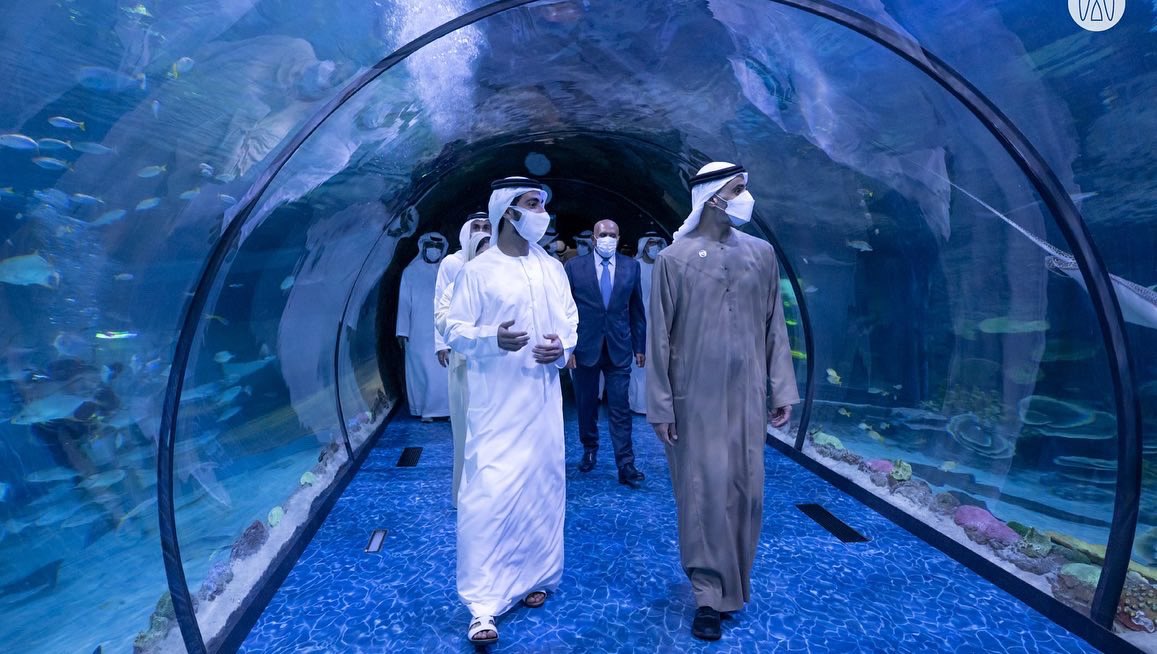 omeir_saeed's tweet photo. https://t.co/qOSEPdb1Ij