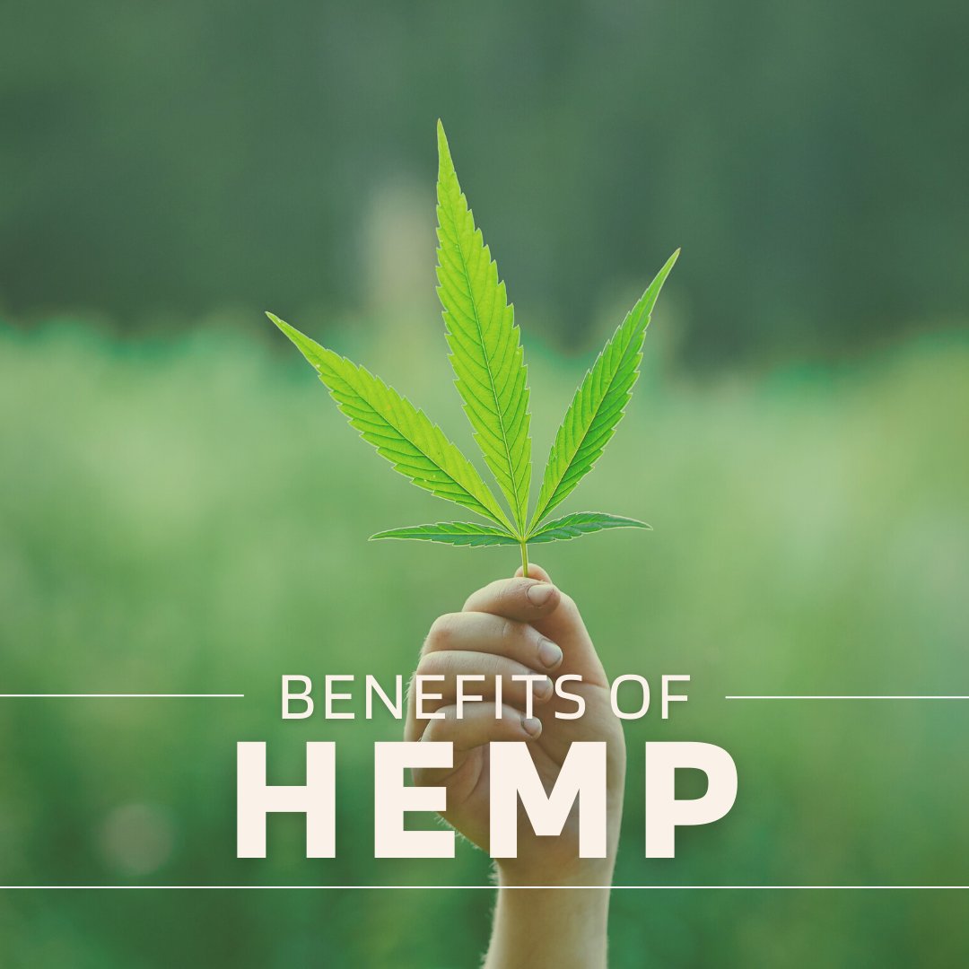thehempzone's tweet image. 🧘Hemp is one of the oldest cultivated plants in the history of mankind
Hemp has a vast potential for use in modern applications in a number of industries.
#hempzoneusa #hempoil #hempbased #hempbasedproducts  #hempbasedcosmetics #hempclothing #hempjewelry #hempfabric