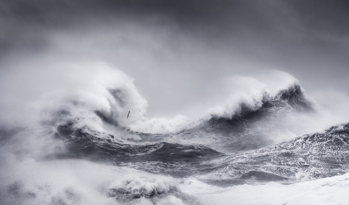 Dan Portch ⭕ tweet media