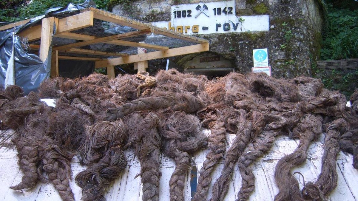 Samo Glavan tweet media