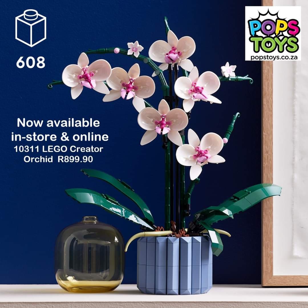 PopsToys's tweet photo. Spoil Mom this Mothers day with the Lego® Botanical range 
Available in-store &amp; Online at Pops Toys Cosmopolitan Lifestyle Centre https://t.co/ypFU09g4EZ https://t.co/RWDZlqJIRL