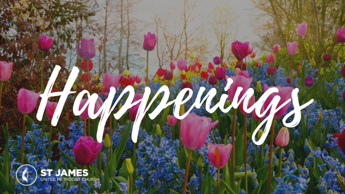 StJamesTampa's tweet photo. Check out this week's edition of the Happenings by clicking the link below.
https://t.co/qwGYWqbyXc https://t.co/EFDcDljTDh