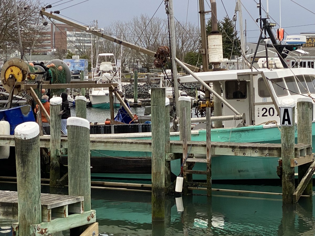 FishAlliance's tweet photo. Hyannis Harbor serves an eclectic mix of boats and its varied personality has always been a draw. ⚓
#fishalliance #capecod #hyannis #workingwaterfronts https://t.co/UCwhElw8Ef