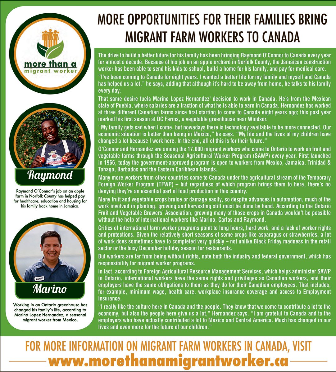 Visit our website at morethanamigrantworker.ca/profiles to learn more about the people who help Ontario farmers grow our food #migrantworker #localfood #foodsecurity #ontag