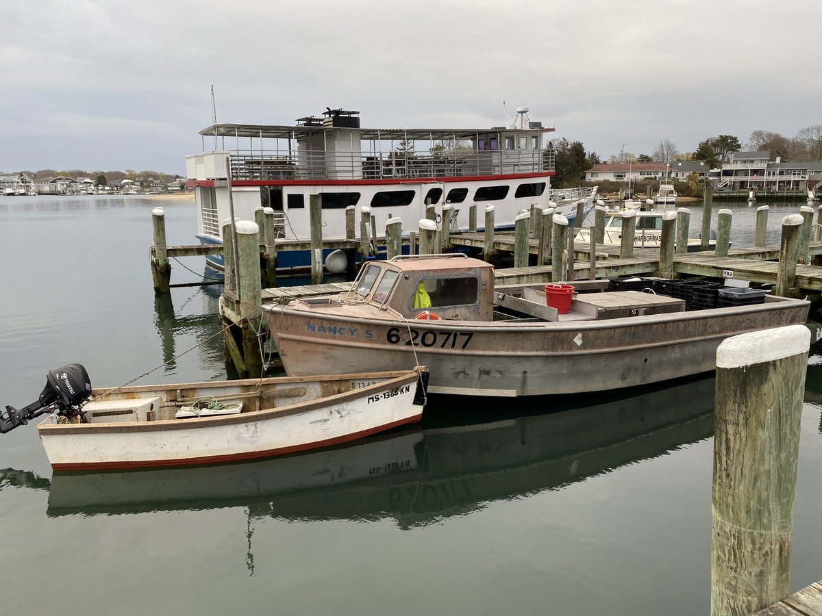 FishAlliance's tweet photo. Hyannis Harbor serves an eclectic mix of boats and its varied personality has always been a draw. ⚓
#fishalliance #capecod #hyannis #workingwaterfronts https://t.co/UCwhElw8Ef