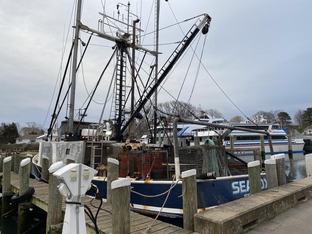 FishAlliance's tweet photo. Hyannis Harbor serves an eclectic mix of boats and its varied personality has always been a draw. ⚓
#fishalliance #capecod #hyannis #workingwaterfronts https://t.co/UCwhElw8Ef