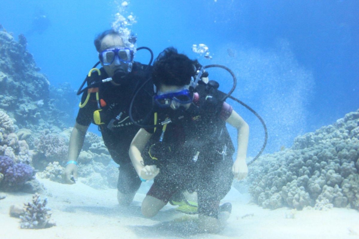 سعود الفوزان tweet media