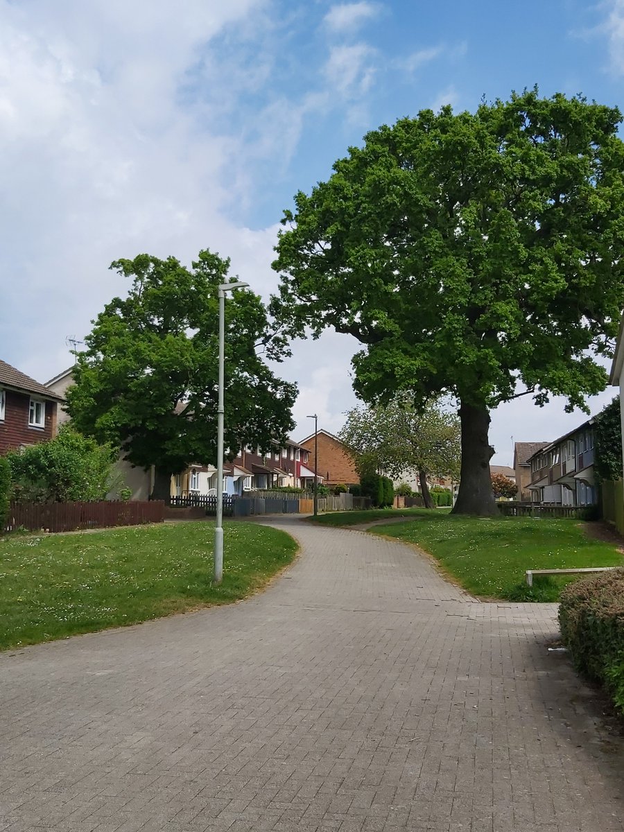 KentPoliceAsh's tweet photo. The #ProblemSolvingTaskForce will be out today in #Stanhope conducting surveys with the residents to gain their opinions of recent ASB around the estate. NH https://t.co/9JJrJN0cPK