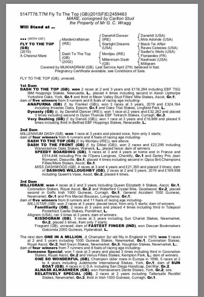 Today <a href="/newsellspark/">Newsells Park Stud</a> Nathaniel meets <a href="/carlton_stud/">Carlton Stud</a> resident Fly To The Top 🦄 🤞🏻We can breed a star for <a href="/C_LidsterRacing/">Craig Lidster Racing</a> in the future! We have the blueprint #anapurna #meonvalley
