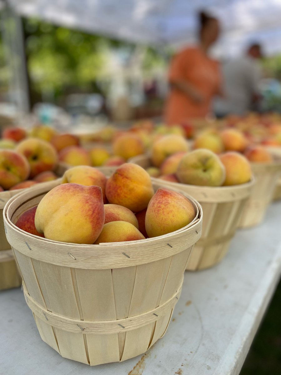 MITPMobile's tweet photo. Rise-n-shine it’s Market in the Park time! We couldn’t ask for a more glorious opening day. Join us now thru noon in Cathedral Square and shop the best that Mobile has to offer! Come celebrate the start of the spring/summer farmers market season!
#mitpmobile #shoplocal #eatfresh https://t.co/0GMaN9TnrO