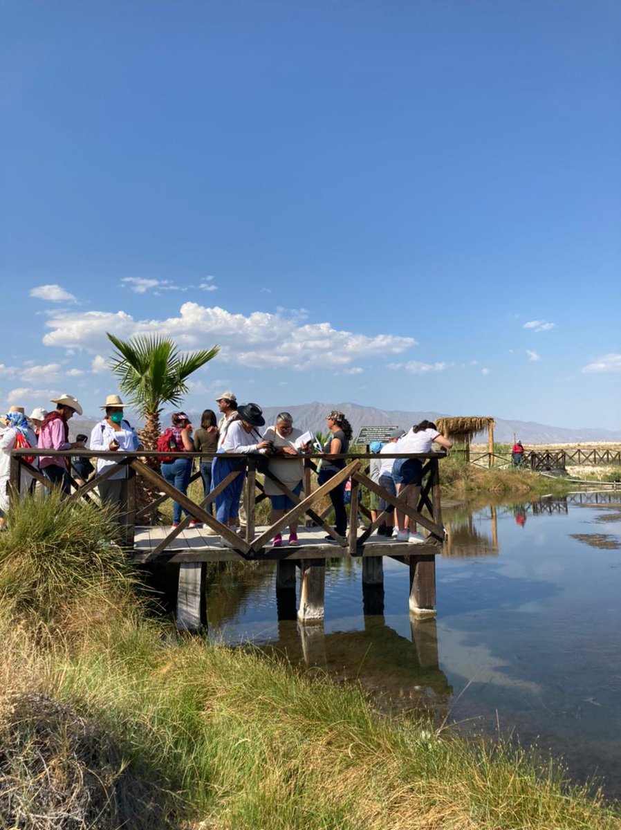CatedraBergman's tweet photo. El equipo de médiums del Valle de Cuatrocienegas ya toma nota de las respuestas a las preguntas que personas de distintos lugares de México enviaron a las especies del lugar como parte de Teatros del paisaje de #LaCompañíaOpcional, proyecto que forma parte de @FestivalElAleph. 👇 https://t.co/7ukQkYkema