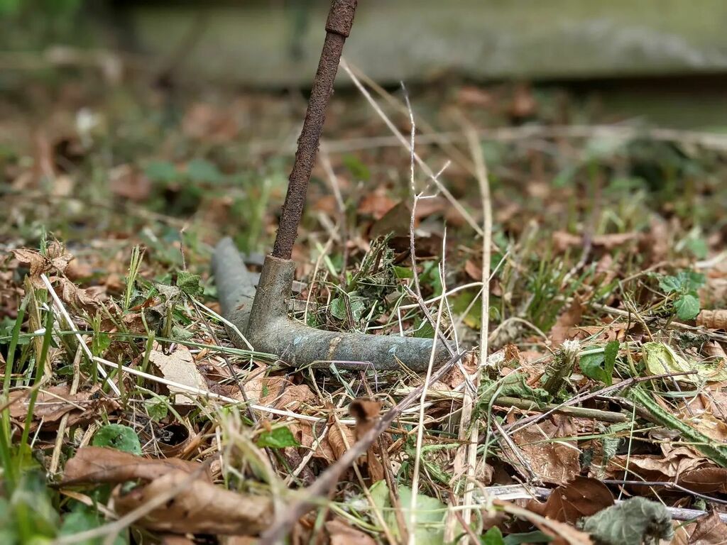 suecartwright's tweet photo. Wild rebellion ... then I found an old rake in the old abandoned shed; which was nothing short of marvellous and made my day; there is hope for this beautiful wildpatch after all. #wildpatch #restoration #gardening #garden #wildlife #nature #love #life #… https://t.co/TQDhLRyugM https://t.co/vlj0yk9e6z