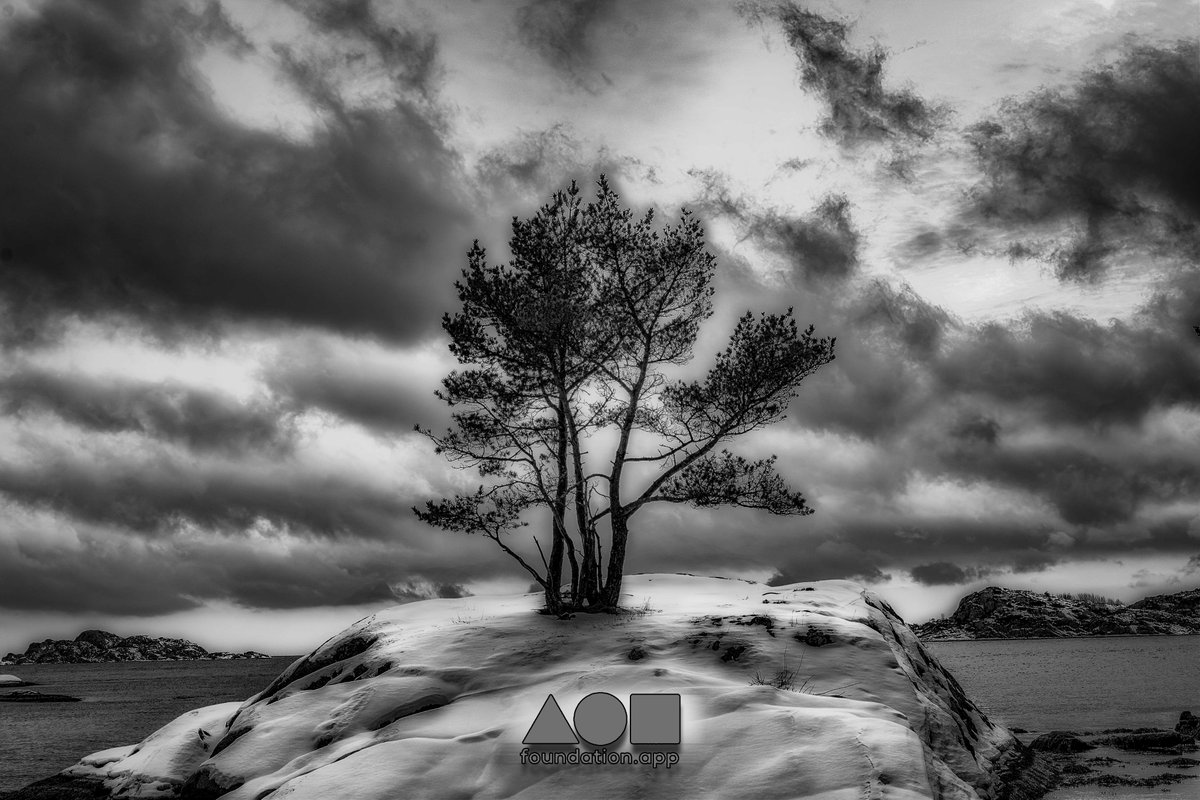 Vlad_Rodrig's tweet image. Lonely Tree at @foundation 
Buy Now 0.4 $ETH
Reserve 0.25 $ETH
Cold day in a Norwegian fjord
foundation.app/@Vladimiro_Rod… 
RT/QR is appreciated
#NFT #nftphotography #Norway #NFTCommunity