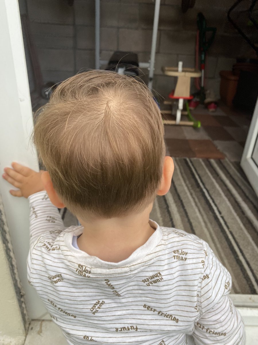 mikeygreen68's tweet photo. Thank you 🙏 to @baraskos at @lazaroubrothers #Birchgrove #Cardiff for Tommy’s #Haircut today #ShortBackAndSides #BigBoy 💙 https://t.co/OuSv5NPGDF