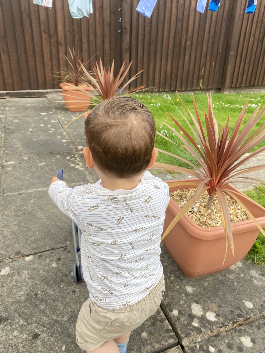mikeygreen68's tweet photo. Thank you 🙏 to @baraskos at @lazaroubrothers #Birchgrove #Cardiff for Tommy’s #Haircut today #ShortBackAndSides #BigBoy 💙 https://t.co/OuSv5NPGDF