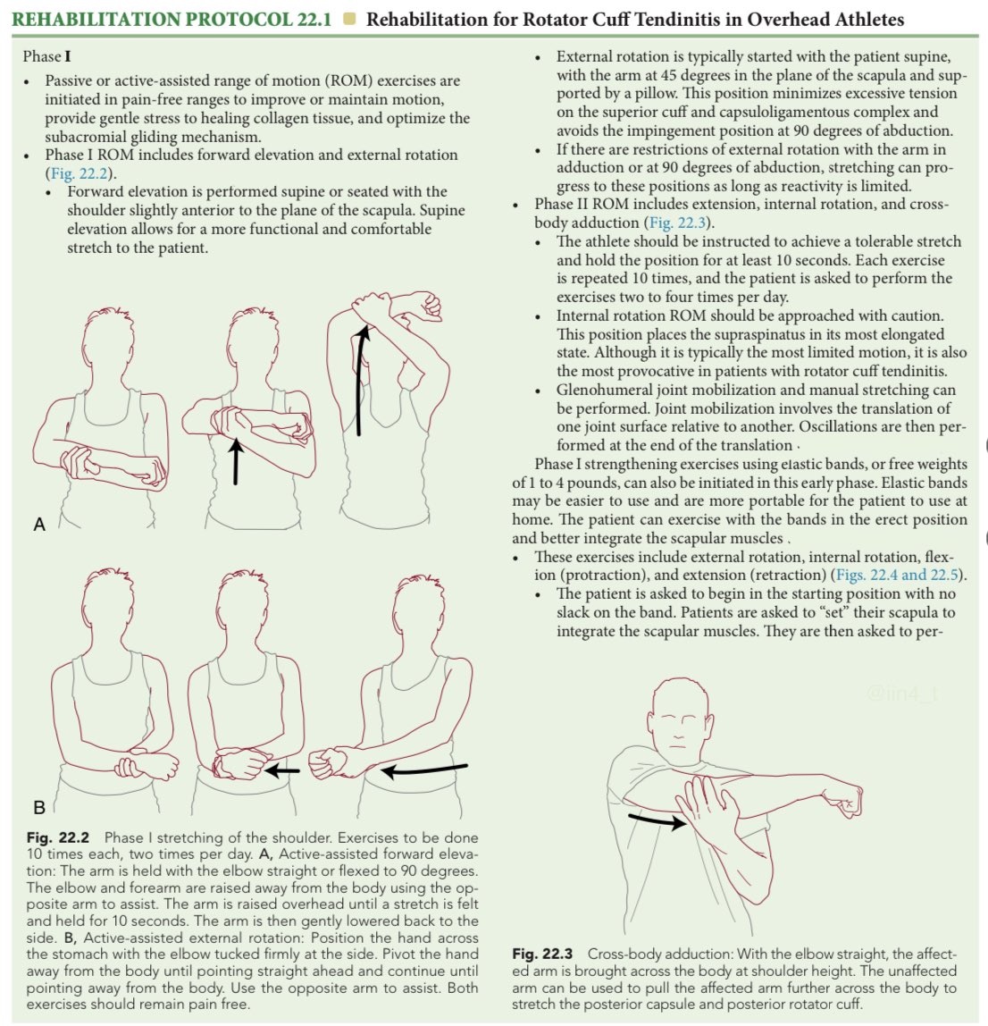 PT_anas4's tweet photo. 🔻بما انه راجعين للدوام وكثير منا يواجه حالات التهاب في اوتار الكتف 
(Rotator cuff tendinitis) 

⚠️ وهوا شائع في مختلف الرياضات التي تتضمن استخدام متكرر للكتف فوق مستوى الرأس مثل:
كرة السلة ⛹️‍♂️
كرة الطائرة 🤾‍♂️
السباحة 🏊‍♂️

هذا بروتوكول تأهيلي للتمارين على اربع مراحل 🔢 https://t.co/7yzHX215wL