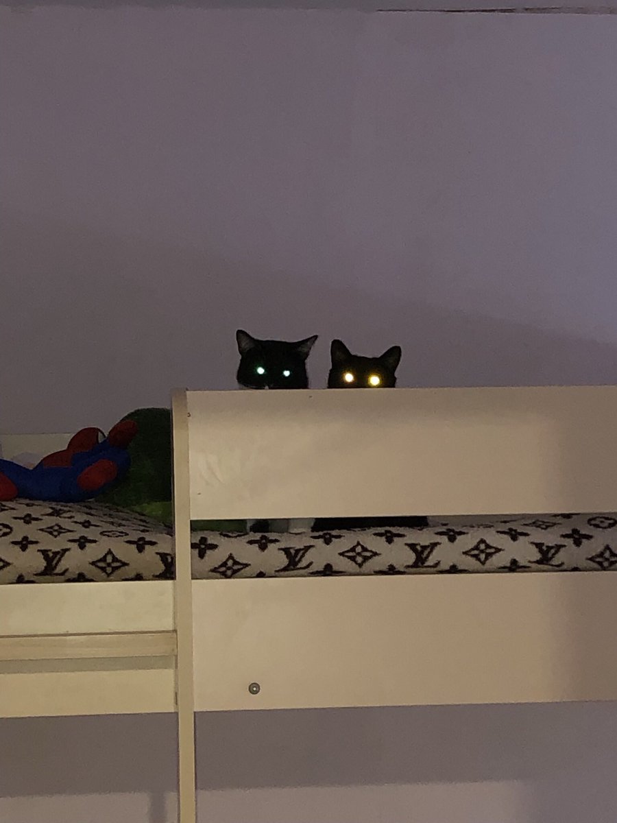 Ren4ic's tweet photo. @catunderhood Последнее https://t.co/psfCuK5GrG