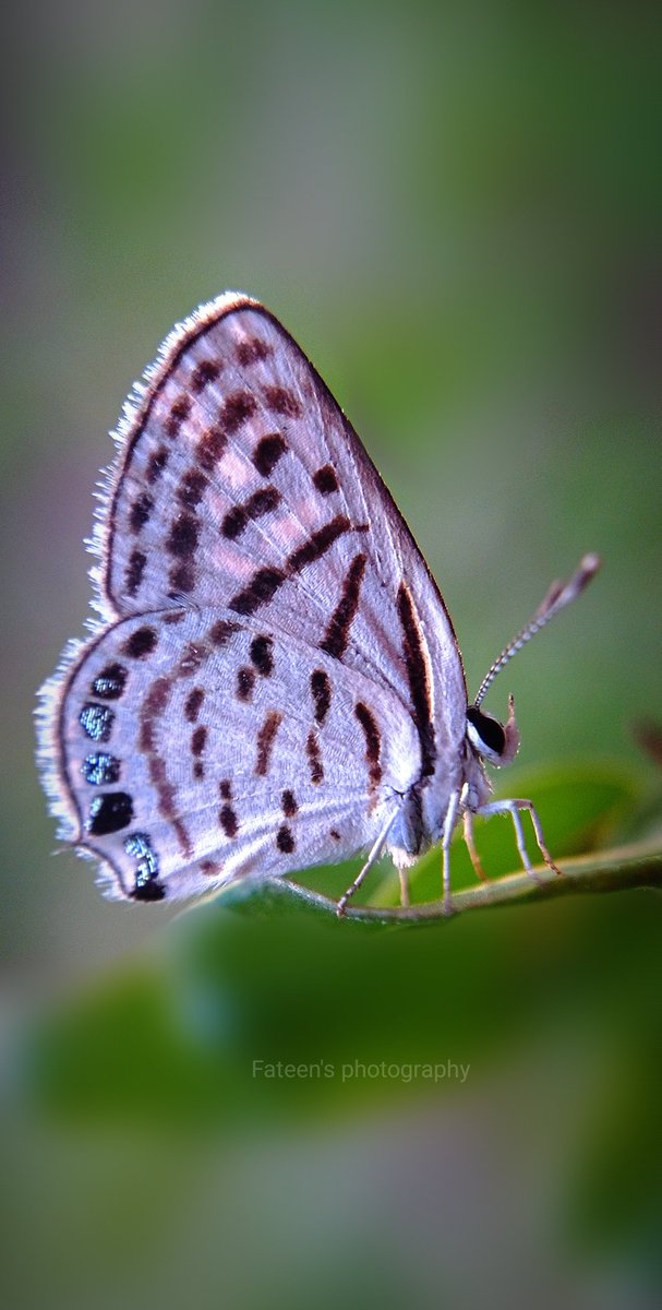 Posting after a long long time

Show some love  😅