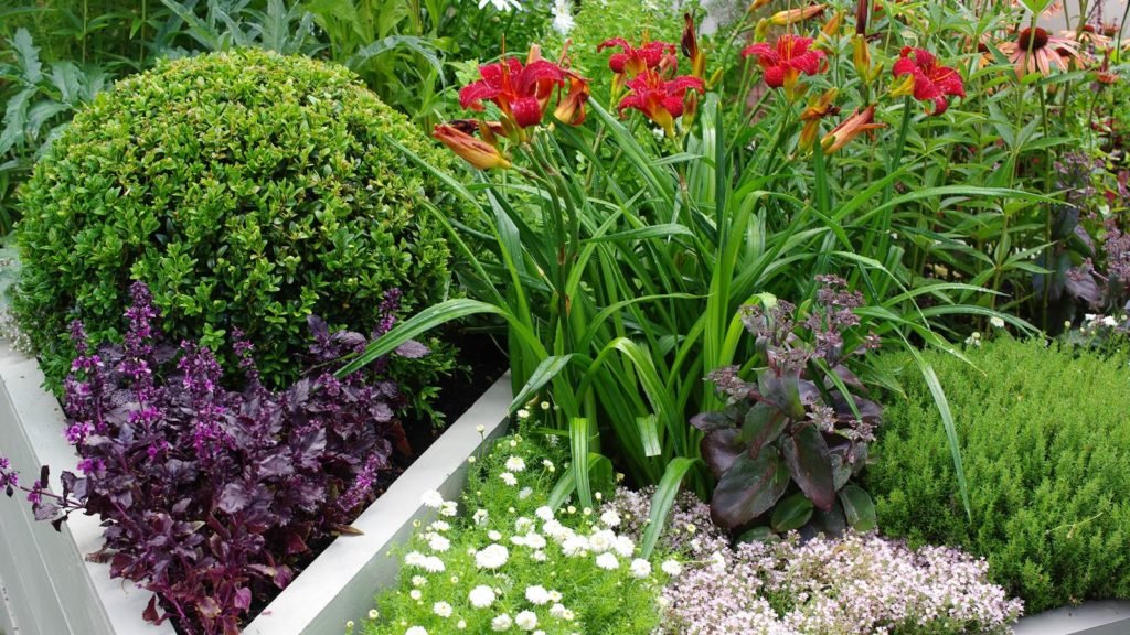LevequeGeorges's tweet photo. Un #potager en pots sur la #terrasse ou le #balcon ! C'est à #voir sur : https://t.co/YPL3FvRmIJ #AgnèsPirlot a #récolté des #images #évocatives de #cultures de #légumes qu'on peut mener en #pots..... si l'on fournit une #BonneTerre et des #arrosages #fréquents et #réguliers ! https://t.co/yMfoXZUgdY