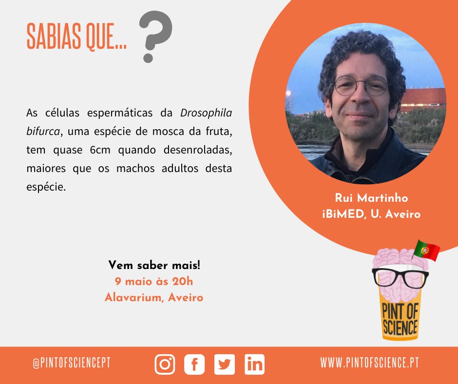 pintofsciencePT's tweet photo. Rui Martinho vêm falar-nos sobre envelhecimento e linhas germinais.🧑‍🦳

09 de Maio, às 20:00h, na Alavarium.

#pint22 #pintworld #posPT #aveiro #cartaz #scicomm #scicommpt  #compesecabeca #ciencia #sciencefiction https://t.co/S4cEcV6OUq
