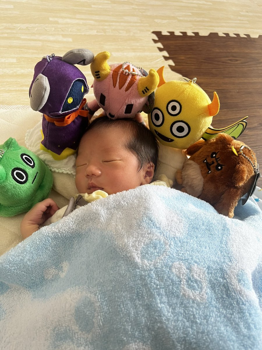 jahkuronuma's tweet photo. 息子とポンクエメンバーのコラボが��壊的に可愛いんだよな
#ポンクエ https://t.co/PgVKLQVUik