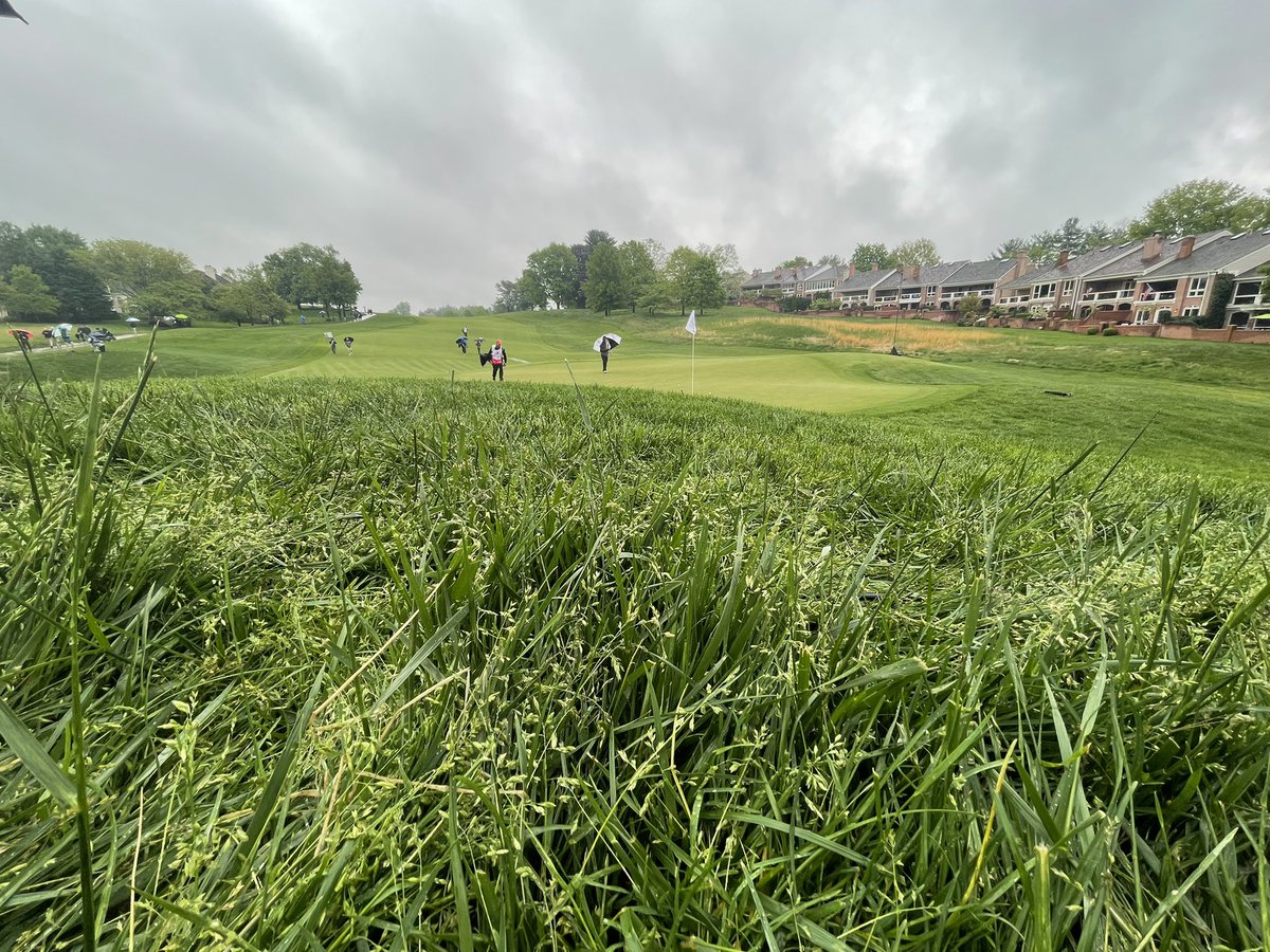 micheauxFitz's tweet photo. What a great (but wet) day at the @WellsFargoGolf Championship yesterday. Got to see amazing talent from these pros and more. https://t.co/UgKP0mTPZ2