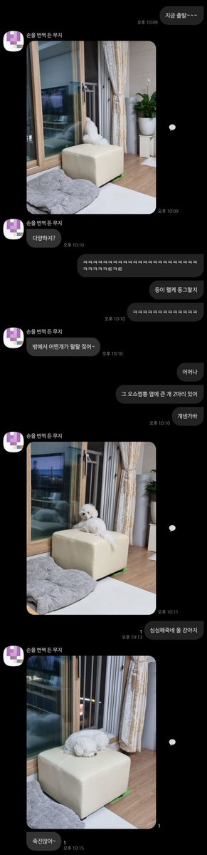 arabian9127's tweet photo. 심심한 강아지 https://t.co/yNwhcvbKqI