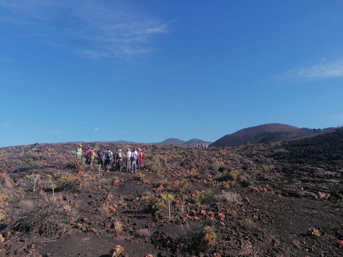 Geoparque El Hierro tweet media