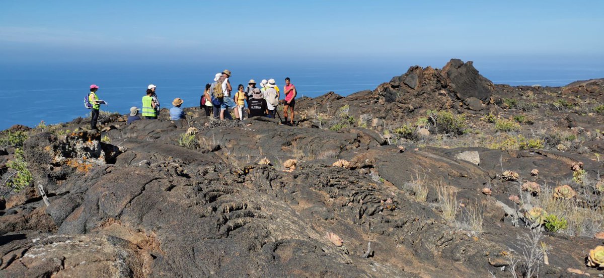 Geoparque El Hierro tweet media