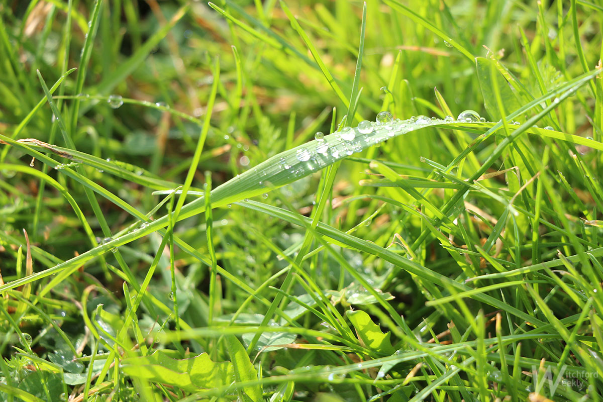 WitchfordWeekly's tweet photo. #49 Witchford after a shower #WeeklyPhoto #WitchfordWeekly https://t.co/fCOQn14nkW