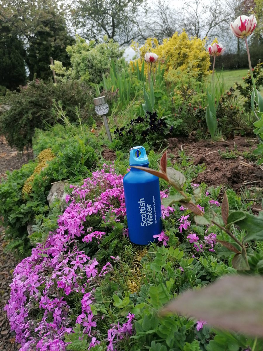 GillianBruce11's tweet photo. Thank you @scottish_water for my free bottle. I'm top up and heading for some gardening! https://t.co/qsGEQyMLRq