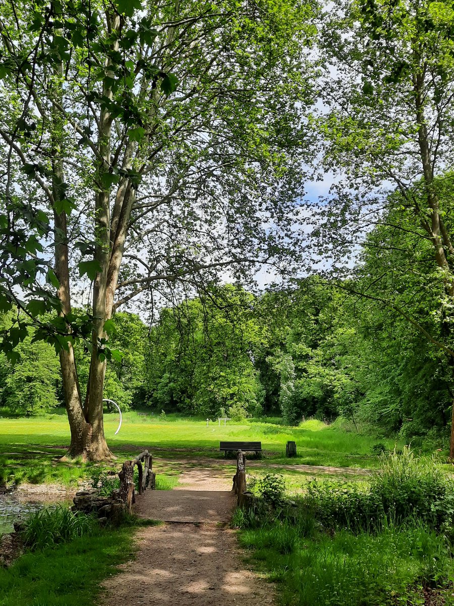 ch_hasenfratz's tweet photo. Parc de #AbbayeDeMaubuisson
#étang #Pont #arbres
#BaladeSympa #paysage #landscape #calme #sérénité #MagnifiqueFrance #FranceMagique @valdoise_adrt @SortiesValdOise @EYParis https://t.co/xwwBdYgvpQ