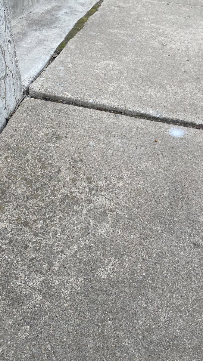 petticoat_guns's tweet photo. @sidewalks_lfk I appealed this piece of my sidewalk needing to be repaired arguing that the retaining wall keeps anyone from walking on that corner of that panel. The city denied my appeal because mobility devices would still have issues, to which I reiterated my initial appeal https://t.co/NUnbYKf94z