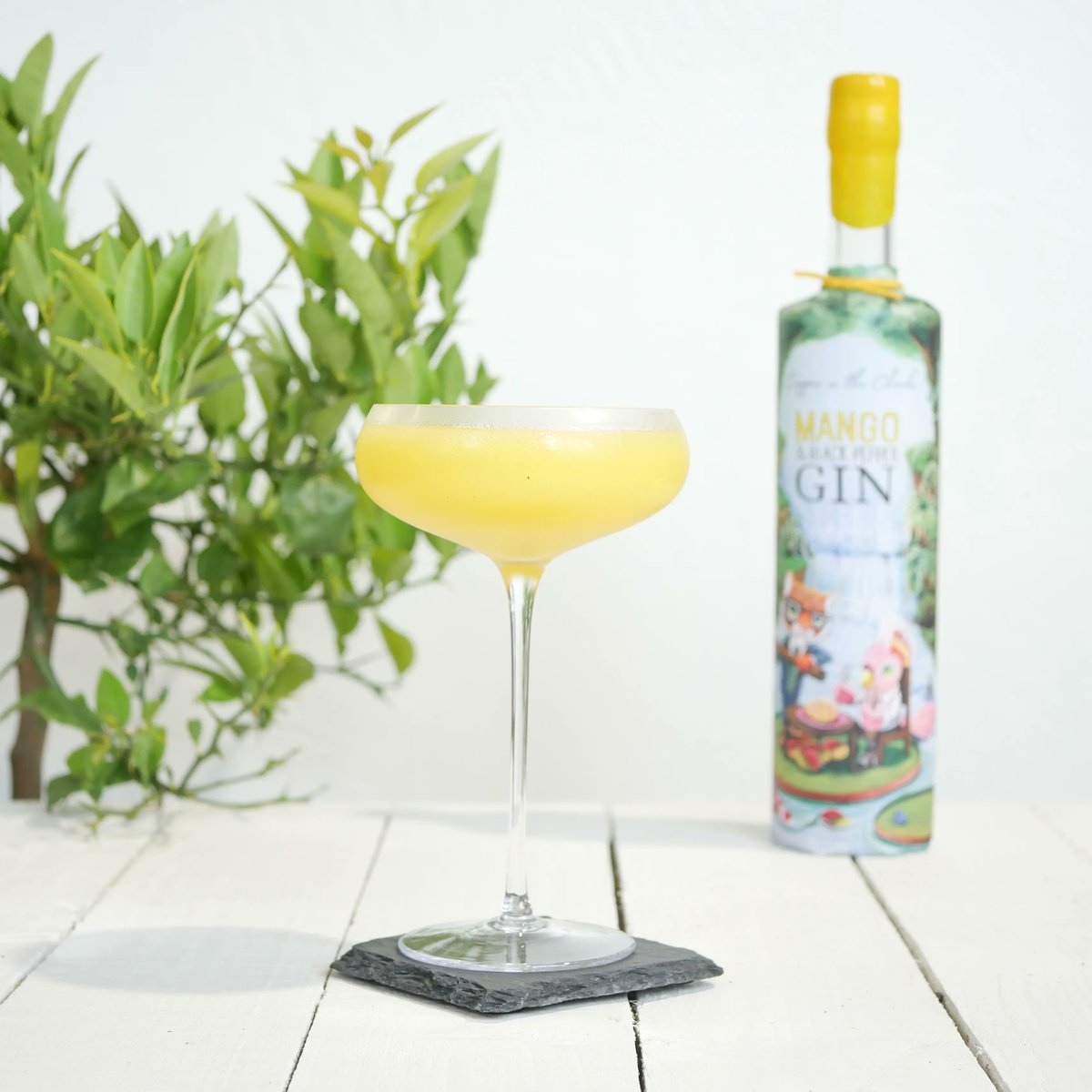 Copper in the Clouds tweet media