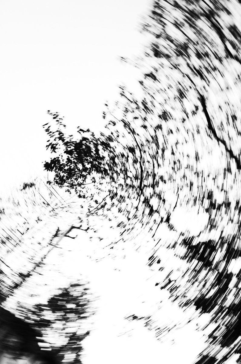 Hi Guys!! I decided to join the #tezos4tezos event now!

This is my latest B&amp;W shot "Limbo"
0.3 $XTZ / 100 Editions
objkt.com/asset/hicetnun…

#tezos #CleanNFT #NFTphotographers