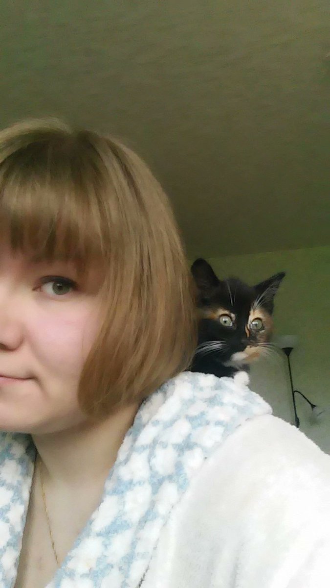 Gabriak1's tweet photo. @catunderhood https://t.co/JfT7mbLvzS