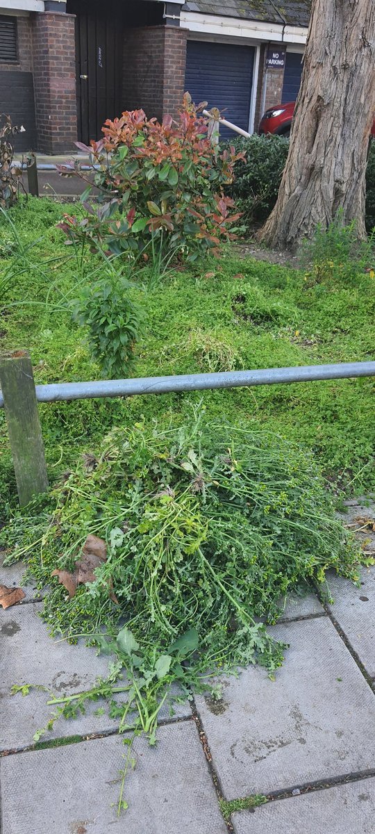 Residents doing some gardening in communal green spaces today 💚🌱🌻
Hard work but all worth it! We love our green spaces 💚💚🌹🌼🌳🐛🦋🐞