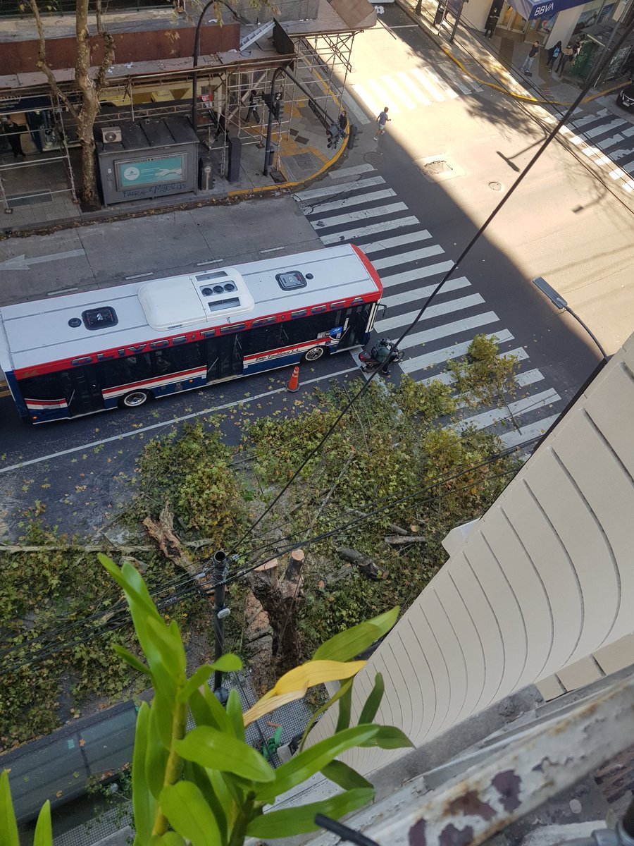 valiz8's tweet photo. Cómo sería @BACiudadVerde talando árboles? Av Santa fe y Anchorena ahora. Lo poco útil y lindo de la ciudad. Por favor paren. 
@gcba @horaciorlarreta 
#arbolestalados #taladearboles https://t.co/VDgHp6nv1S