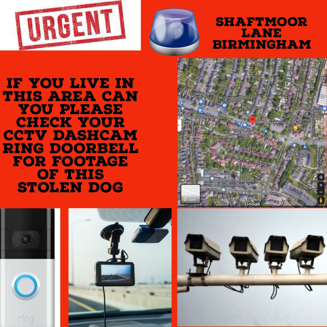 Karen Field tweet media