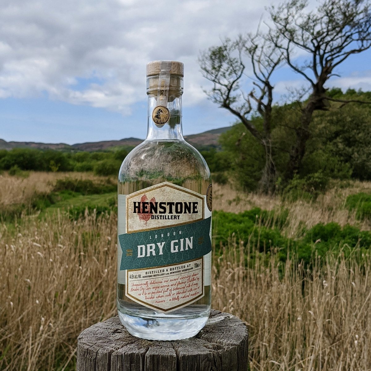 HenstoneDistill's tweet photo. Three years in a row our London Dry Gin has been a winner in @theginguide awards!! The recipe remains exactly the same as the first batch we produced back in Feb 2018
#gin #ginguide #theginguide #winner #londondrygin #distilling #distillery #oswestry #shropshire #supportlocal https://t.co/McAJXkXiQa