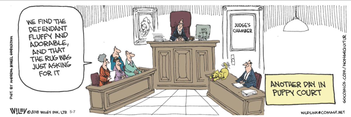 Simon Perez (@simonperez1) on Twitter photo 