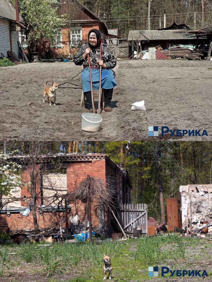 _Armageddon__'s tweet photo. What did you want from the innocent old woman? In the photo, Olga planted potatoes with her dog Vadik a year before the #RussiaUkraineWar. In the second photo,Vadik is in front of a ruined house where Oleksandr Ivanovych and Olga Fedorivna died. #Ukraine️ #StopRussia #UkraineWar https://t.co/WHm8Hy1YpH