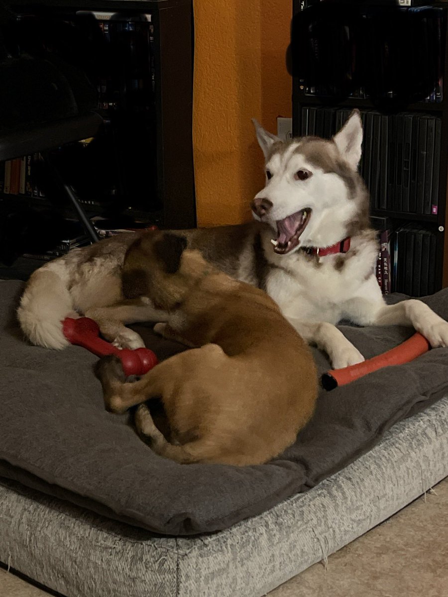 Professional part time cowboy tweet media